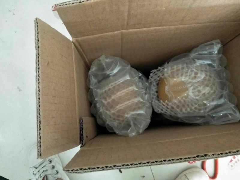 新鲜当季丰水梨秋月梨5斤香梨冰糖雪梨酥梨贡梨整箱水果批发