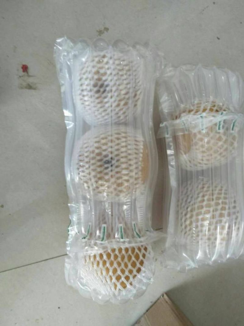 新鲜当季丰水梨秋月梨5斤香梨冰糖雪梨酥梨贡梨整箱水果批发