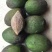 野生青果