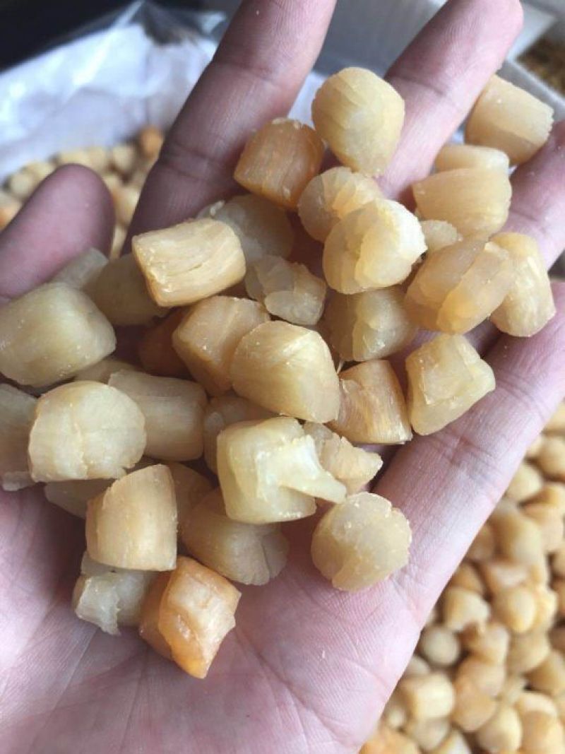 大连干贝