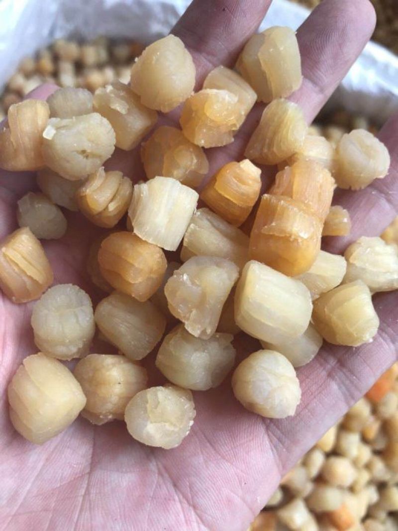 大连干贝
