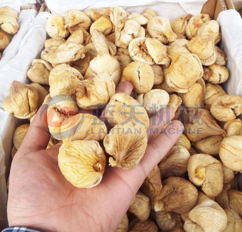 出售蓝天水果烘干机红龙果片烘干机空气能热泵烘干机