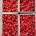 出售树莓苗，红树莓苗，双季树莓苗，红树莓苗