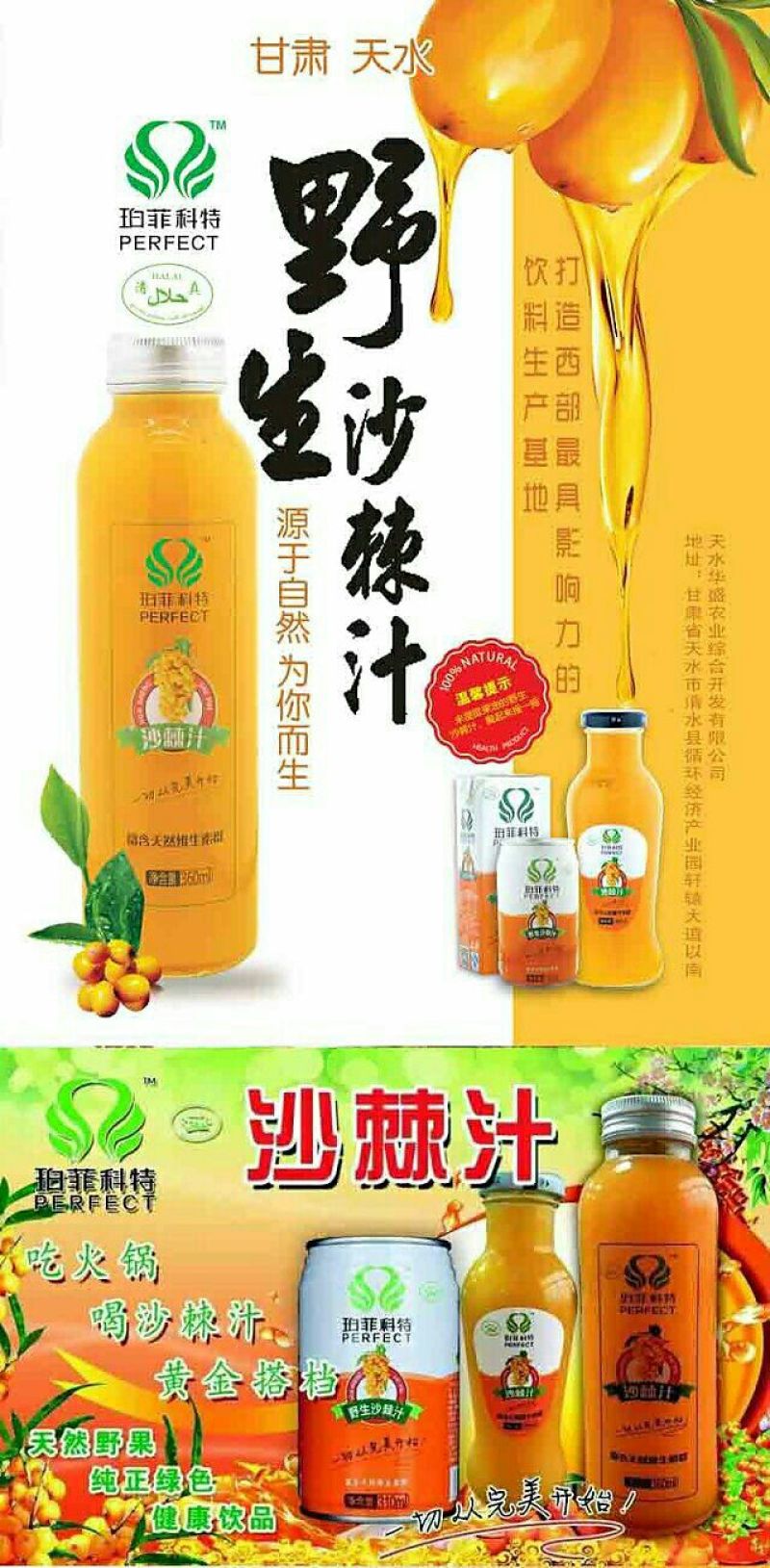 沙棘汁甘肃天水清水县特产，310ml20罐120元包邮