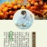 沙棘汁甘肃天水清水县特产，310ml20罐120元包邮