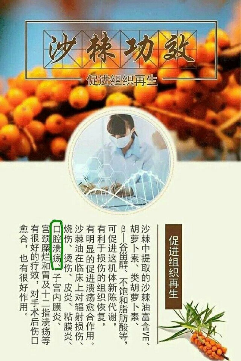 沙棘汁甘肃天水清水县特产，310ml20罐120元包邮