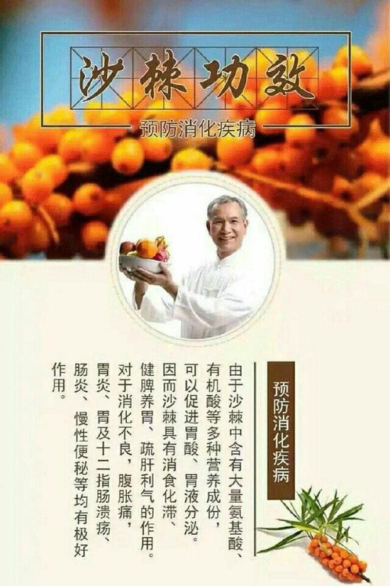 沙棘汁甘肃天水清水县特产，310ml20罐120元包邮
