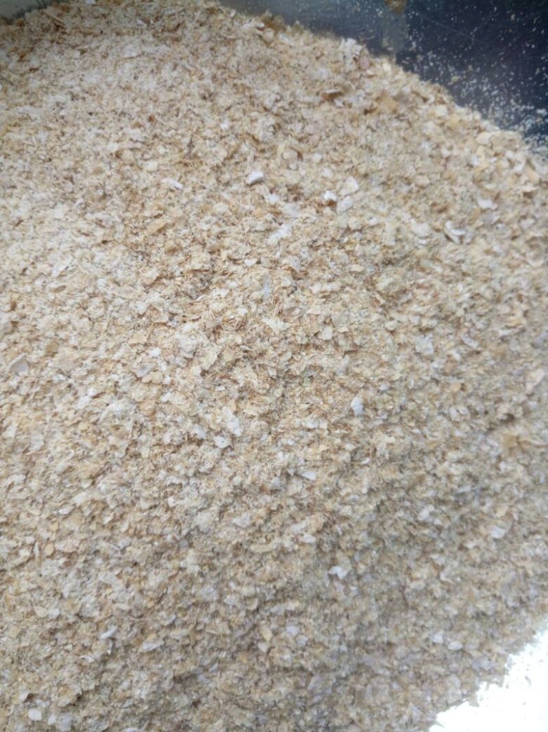 动物饲料！小麦麸皮
