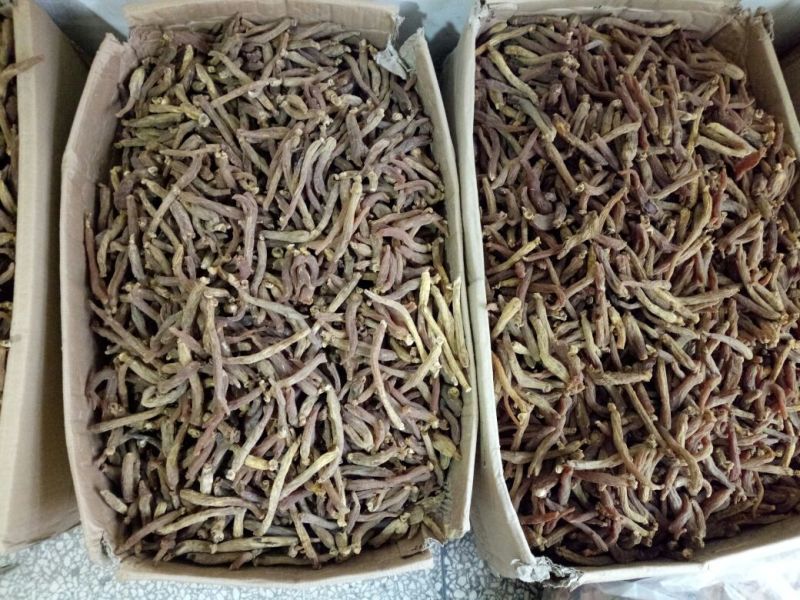 红参个子东北无糖无硫干货一斤起包邮量大从优