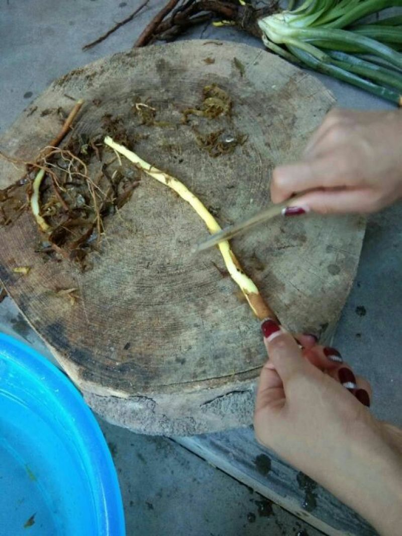 石参稀有营养食材色泽金黄口感好炖煮炒火锅都可