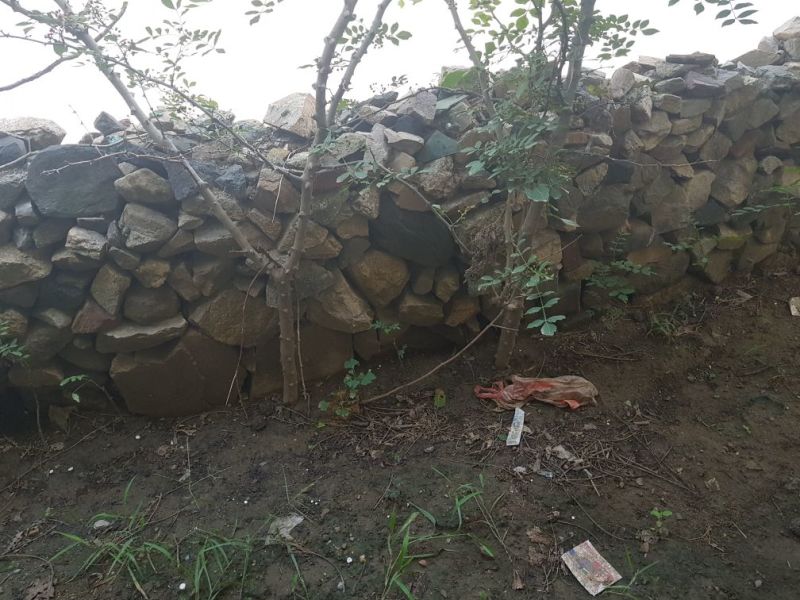 2公分以上大红袍花椒树基地直销，提供技术指导