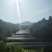 霍山米斛盆景霍山铁皮石斛石斛苗石斛花原产基地直销