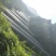 霍山米斛盆景霍山铁皮石斛石斛苗石斛花原产基地直销
