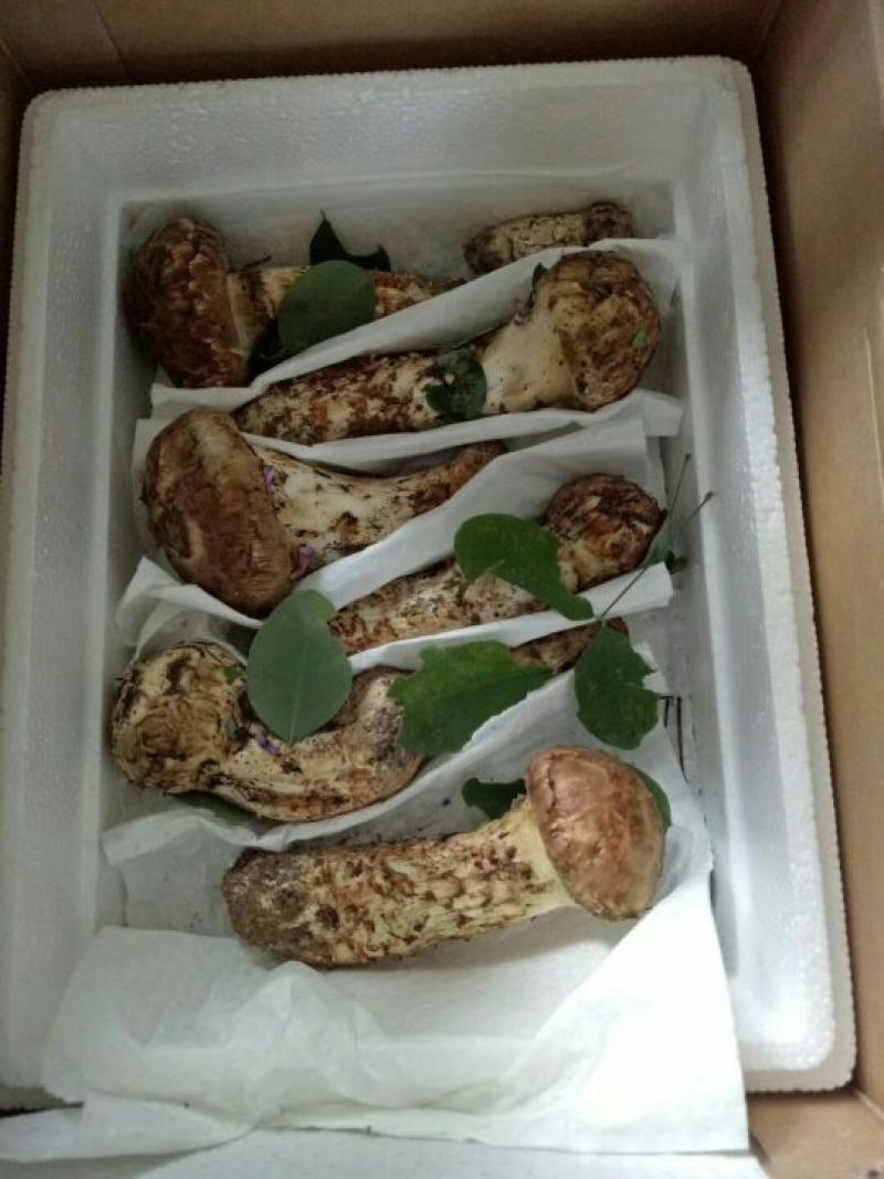 3到5公分