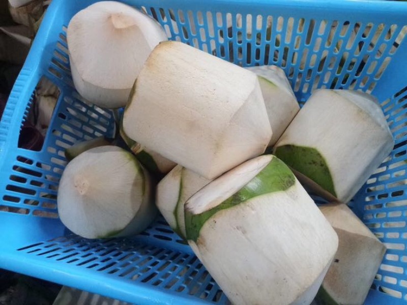 椰子文昌基地海南天然椰青9个装每箱常年批发供