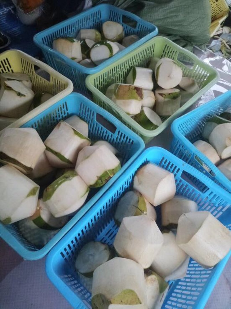 椰子文昌基地海南天然椰青9个装每箱常年批发供
