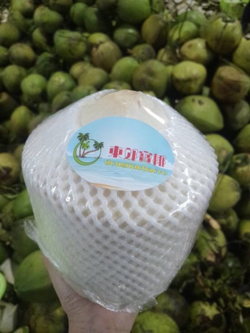 椰子文昌基地海南天然椰青9个装每箱常年批发供