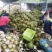 椰子文昌基地海南天然椰青9个装每箱常年批发供