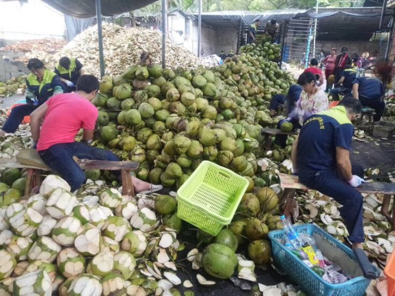 椰子文昌基地海南天然椰青9个装每箱常年批发供