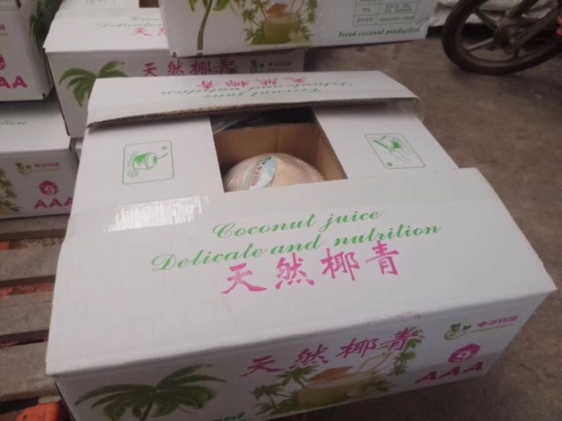 椰子文昌基地海南天然椰青9个装每箱常年批发供