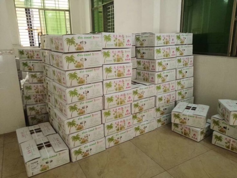 椰子文昌基地海南天然椰青9个装每箱常年批发供