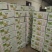 椰子文昌基地海南天然椰青9个装每箱常年批发供