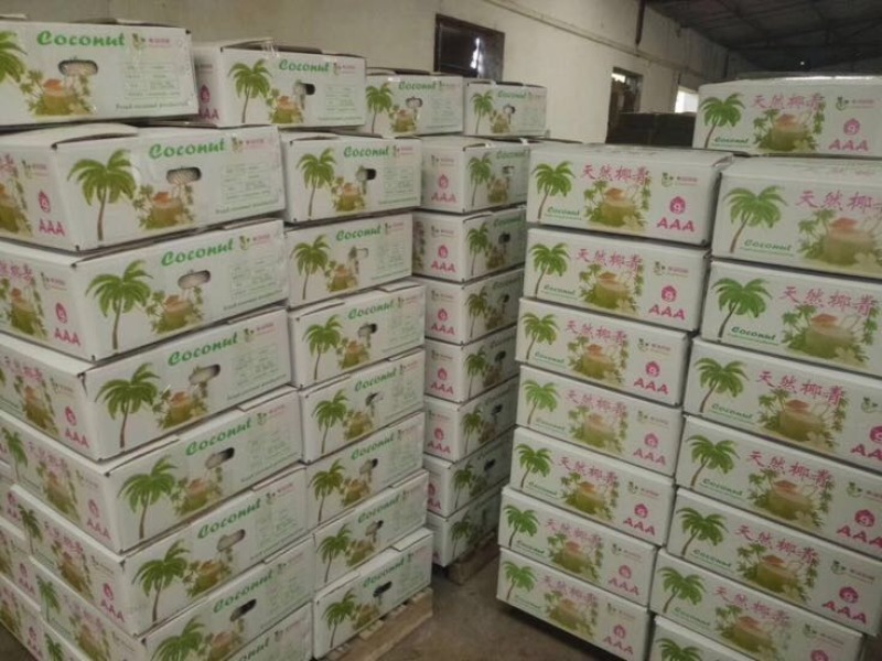 椰子文昌基地海南天然椰青9个装每箱常年批发供