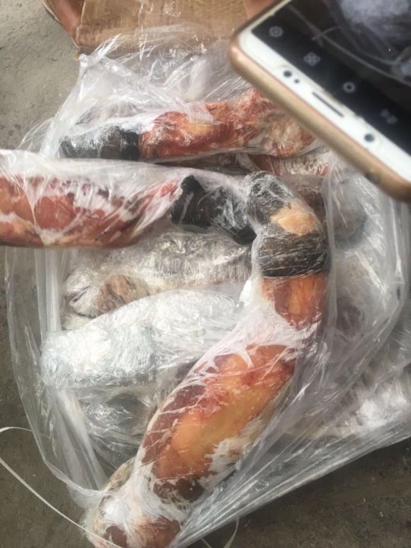 常年供应驴鞭蹄筋量大从优