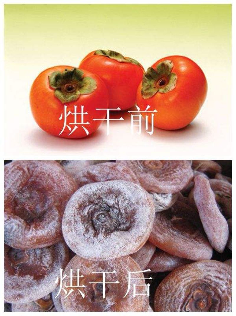柿子烘干机柿饼烘干机蓝天牌煤电老房改造热泵烘干机