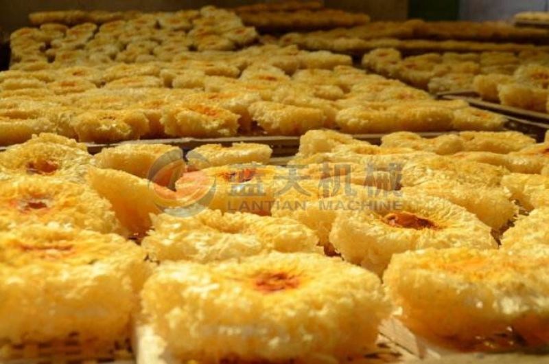 柿子烘干机柿饼烘干机蓝天牌煤电老房改造热泵烘干机