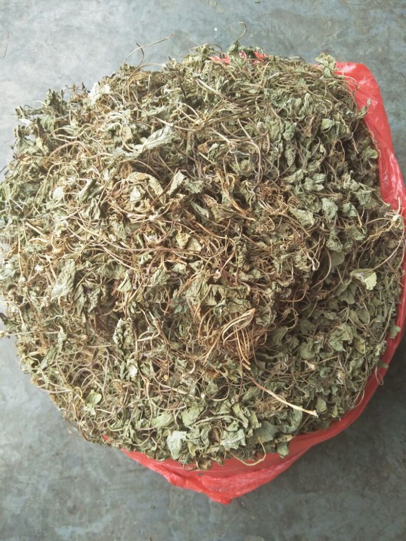 积雪草又叫雷公根