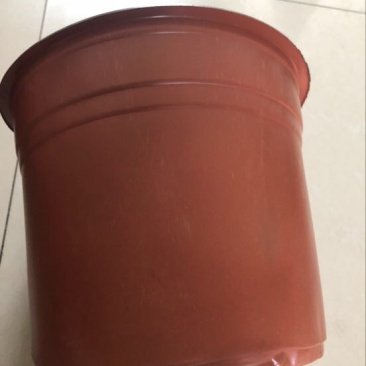 花盆塑料