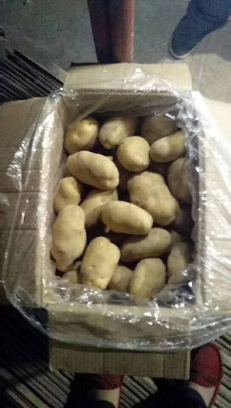 荷兰十五土豆希森土豆沃土土豆精品土豆冷库，保证质量规格齐