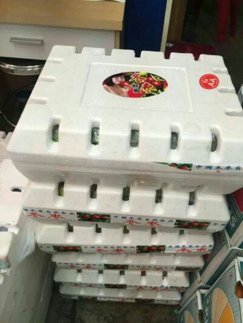 山东早脆王鲜枣基地批发规格齐全