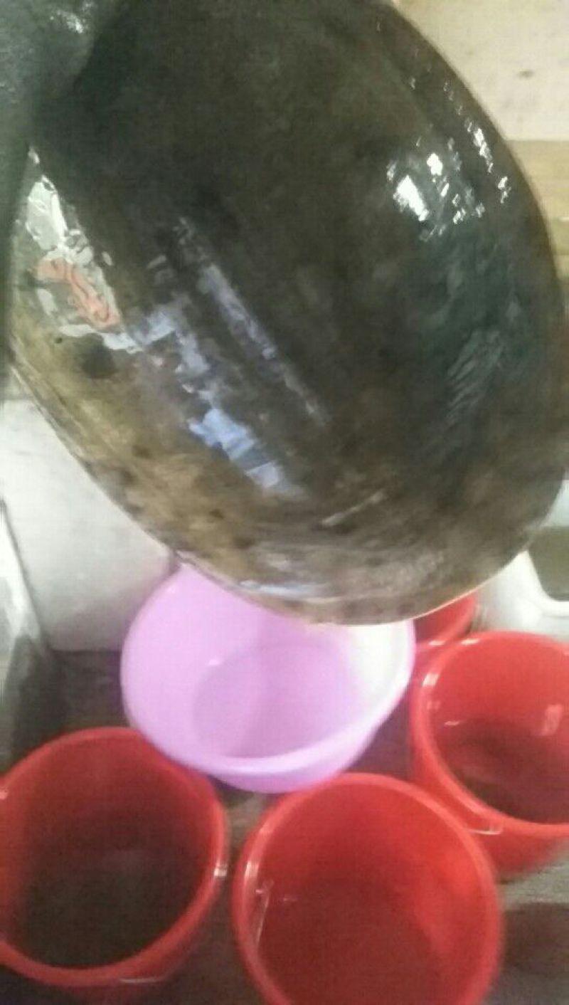苏北野生精品黑花黑底甲鱼