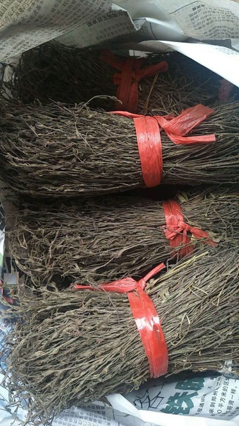 【独脚金】新鲜晒干，短脚黄花，优质品种