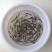 黑乌鱼苗