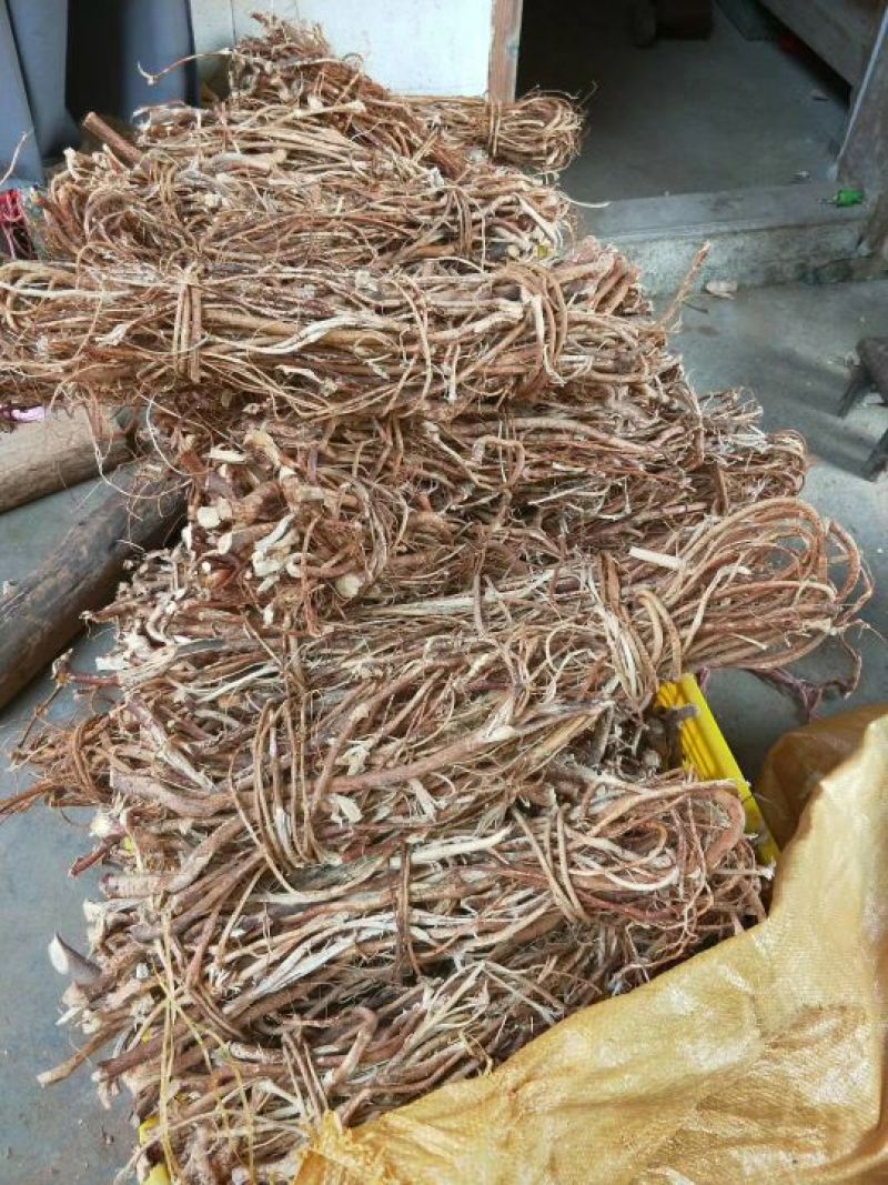 五指毛桃中根