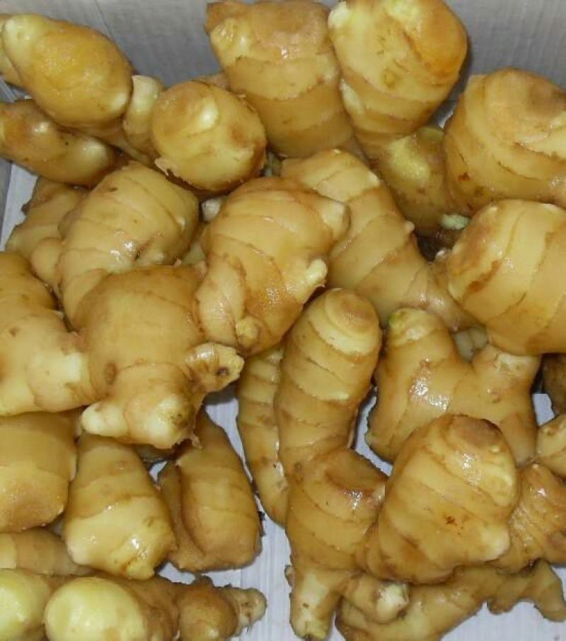 山东小黄姜产地，包正质量，