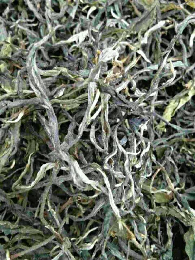 普洱茶叶初制加工销售。