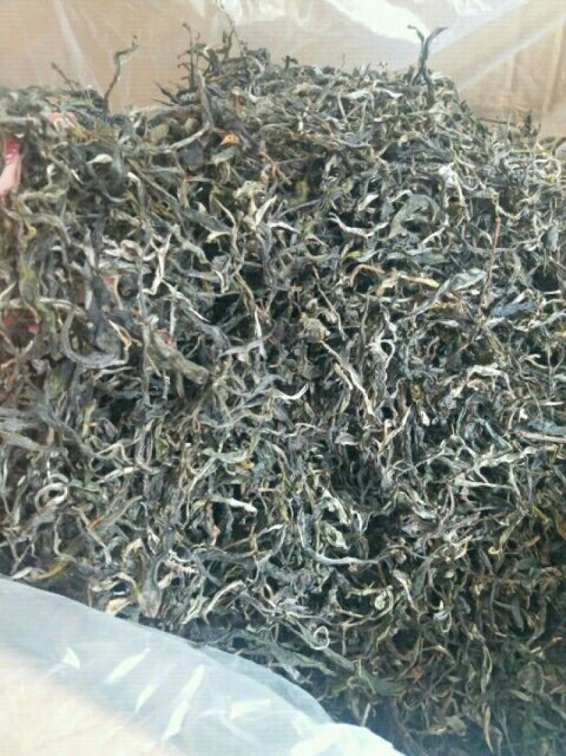 普洱茶叶初制加工销售。