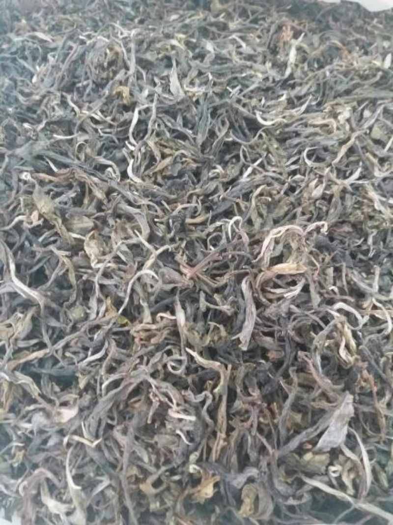 普洱茶叶初制加工销售。