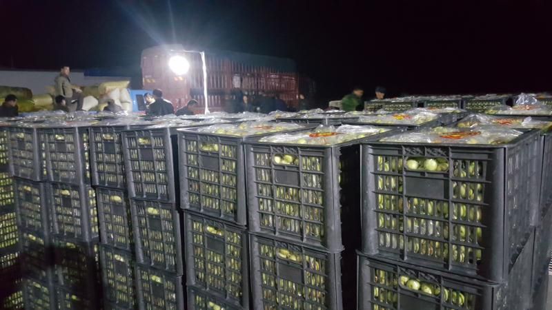 鲜枣供应链供多多美团基地直供一手货源可代包装一站式服务