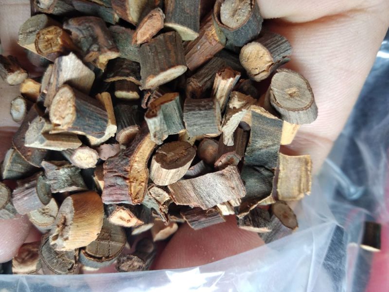 桂枝供应中药材桂枝桂枝尖桂枝各种规量大从优承接大货