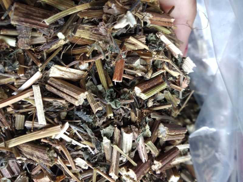 供应金盏银盘鬼针草金盏银盘金盏银盘批发鬼针草