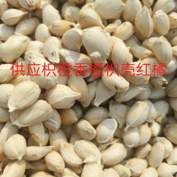 枳壳。枳橙。香橙。红橘