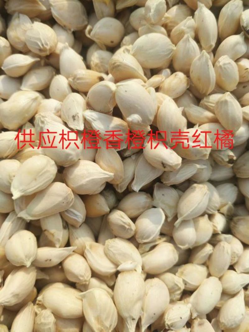枳壳。枳橙。香橙。红橘