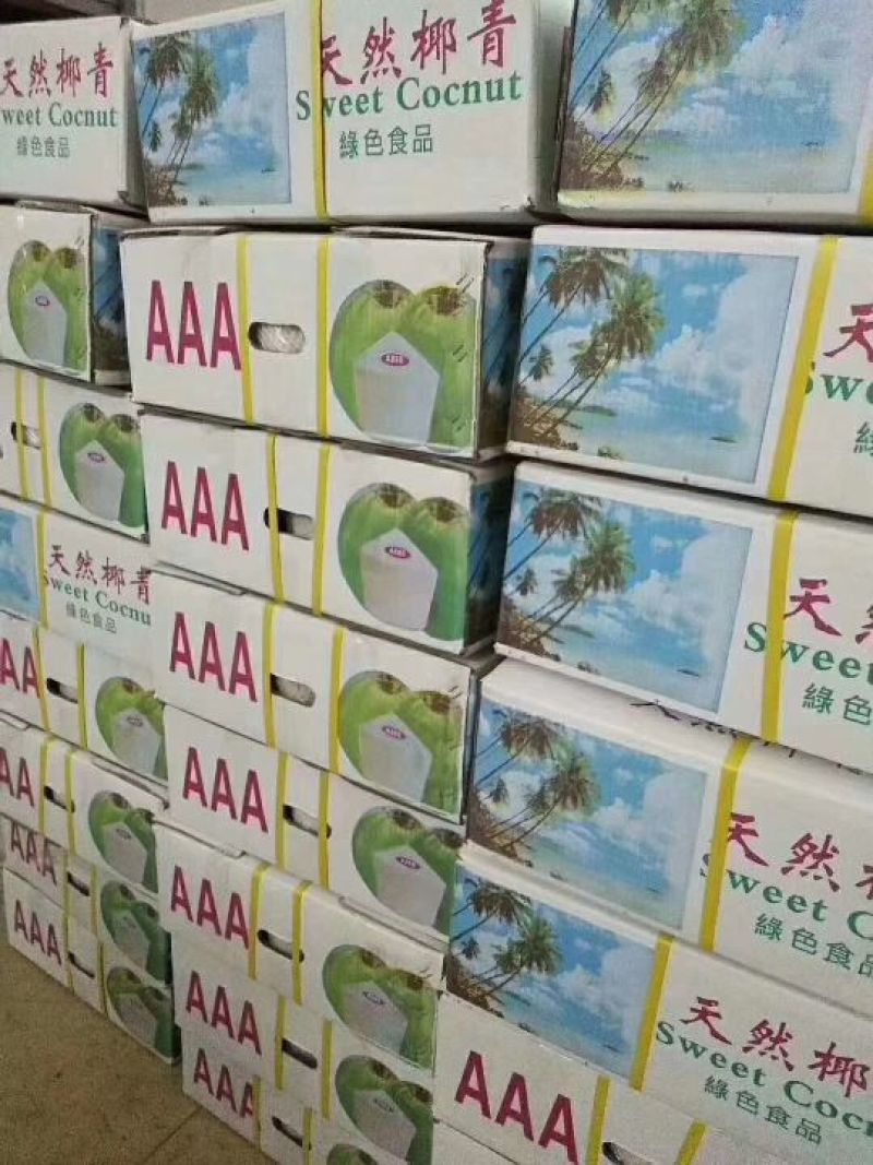 海南椰青9个批发【非泰国越南椰青】