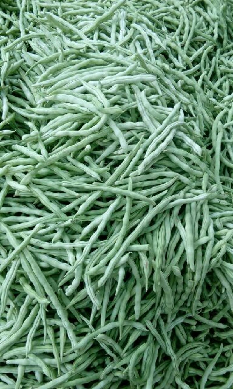 豆王批发