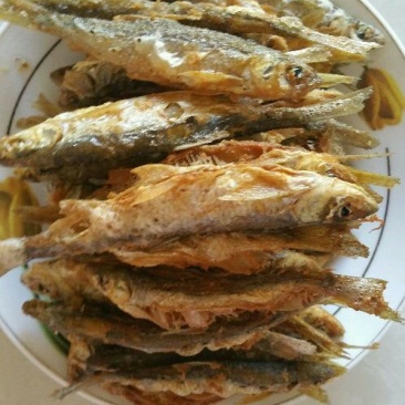 油炸小鱼